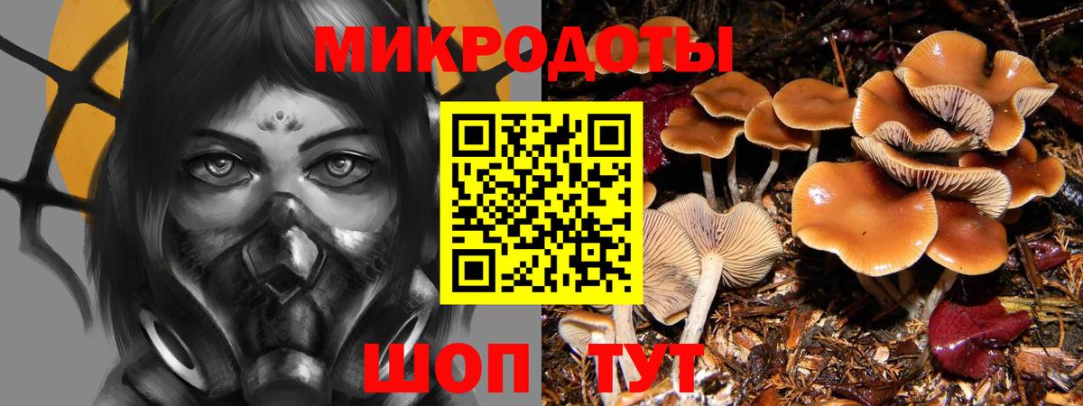 Балахна  Галлюциногенные грибы MAGIC MUSHROOMS  Вход с VPN 
